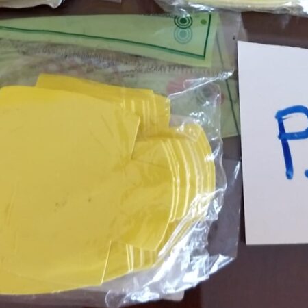 P-98: pacote de forminhas de papel para bombom com 48 unidades