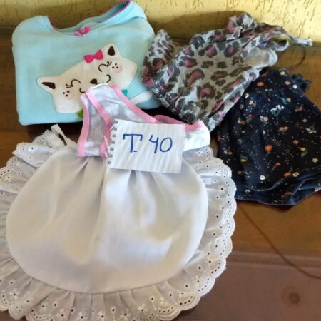 T-40: FEMININO: macaquinho em tecido (P); short (P); agasalho de plush (P); avental em tecido; 1 calcinha