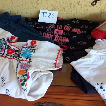 T-25: FEMININO: rasteirinha (nº 35); vestido bordado; calça jeans (M); blusa baby look; pijama