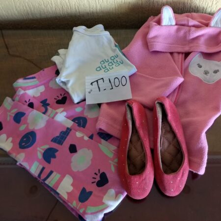 T-100: FEMININO: agasalho de moleton; blusa de malha (manga comprida); calça comprida de malha; sapato de camurça (nº 24)