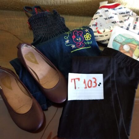 T-103: FEMININO: vestido de verão (jeans); calça comprida de malha; blusa de malha (verão) com lantejoulas; sapato de couro (nº 27); CD (MTS)