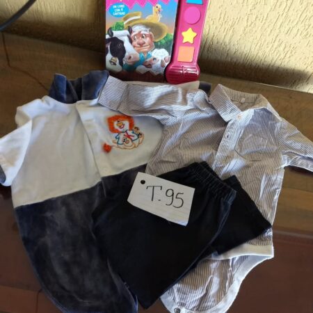 T-95: MASCULINO: calça comprida de malha; body em tecido (manga comprida); macacão de plush (inverno); livro infantil