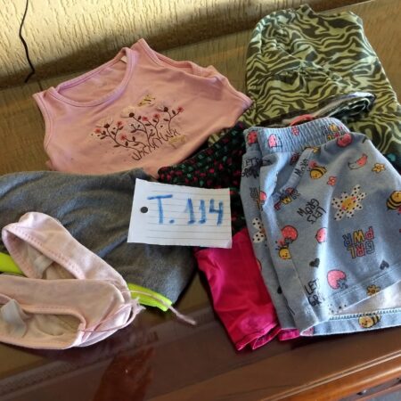 T-114: FEMININO: sapatilha de balet (nº 23); 2 shorts (tecido/malha); camiseta em malha; calça comprida (leg); vestido em malha